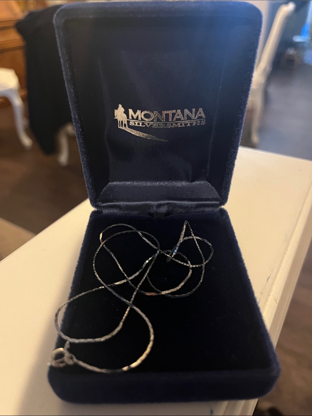 Montana Silversmiths Silver Twisted Rope Necklace